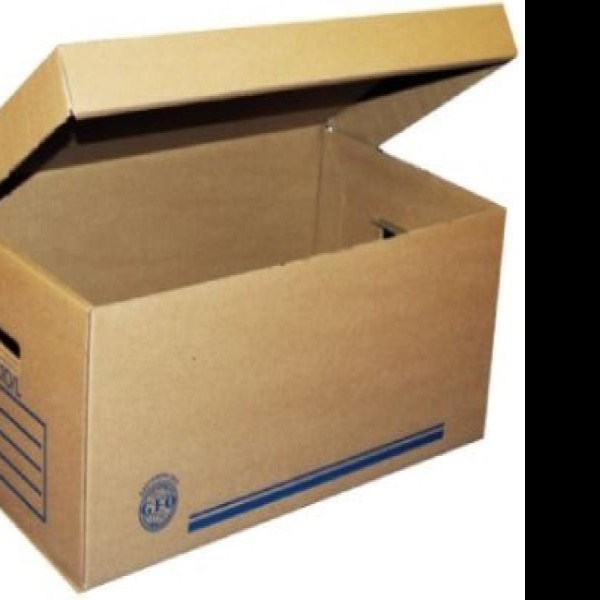 CAJA ARCHIVO CARTON CTA. 495X313X253CM. 9KGCM2 E25C250